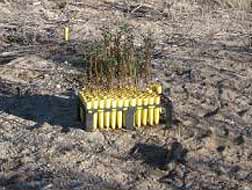 Native Seedlings to be Planted