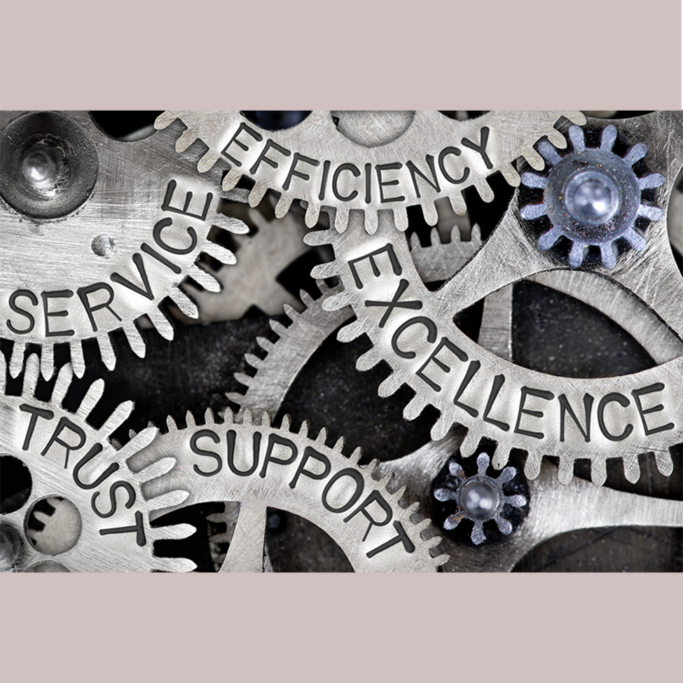 Shortcut to County of San Diego government excellence initiatives