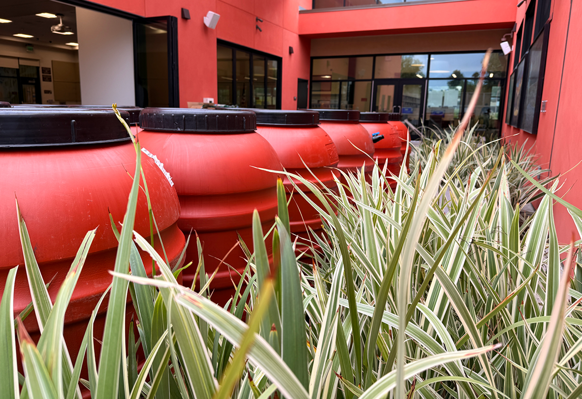 Rain-Saving Container