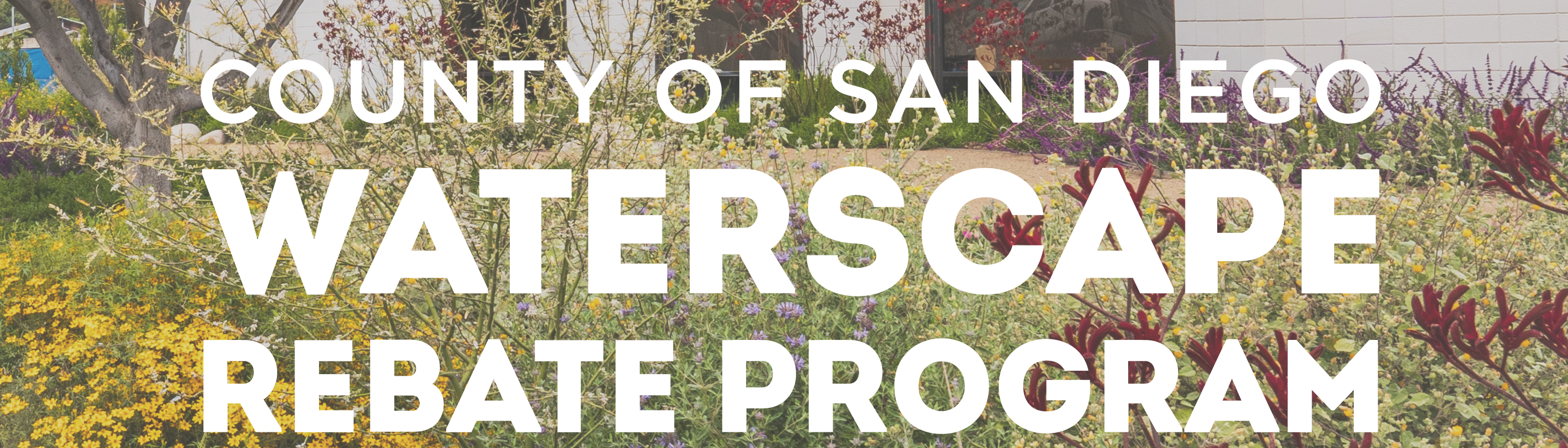 Click to the Waterscape Rebate Program home page