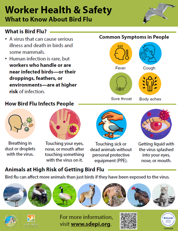 How To Treat Avian Flu In Birds