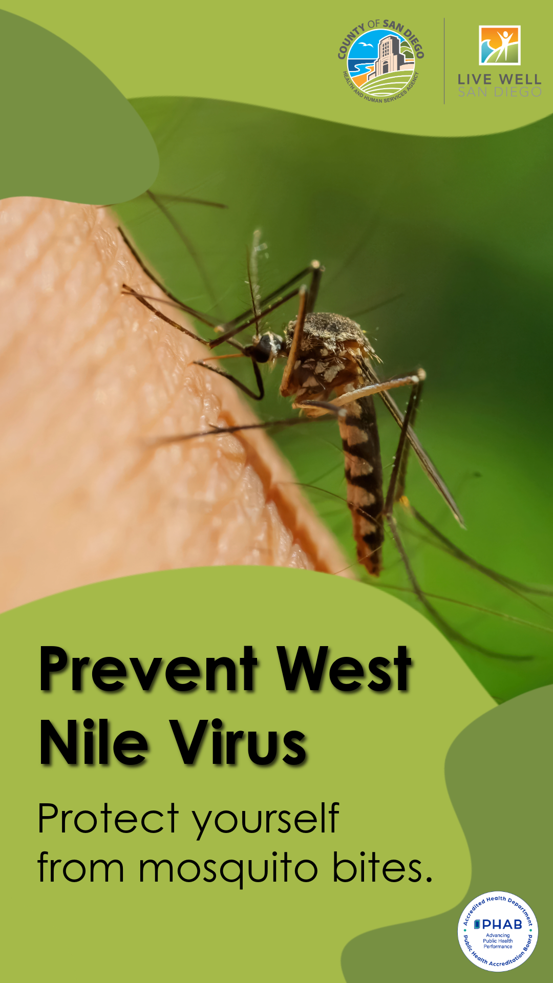 West Nile Virus, image size:1080x1920