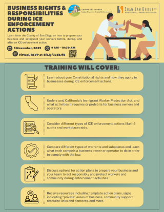 Decorative green border line