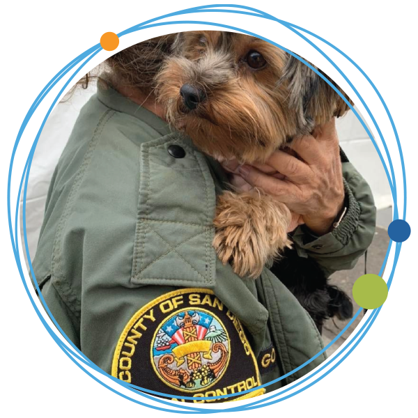 County officer holding a puppy