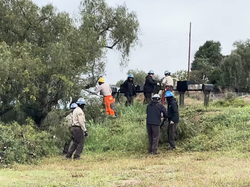 County workers cleaning fields