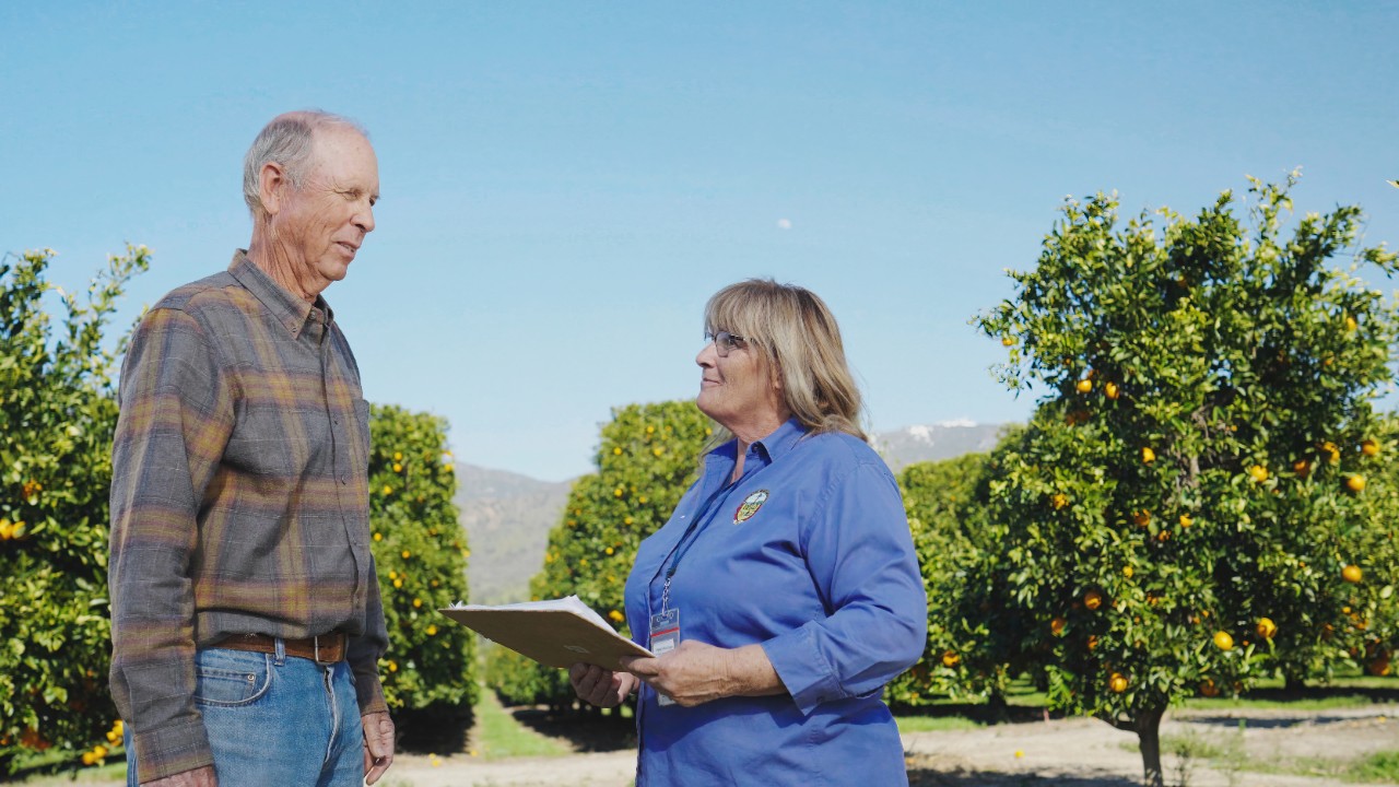 AWM Fees and Online Payments