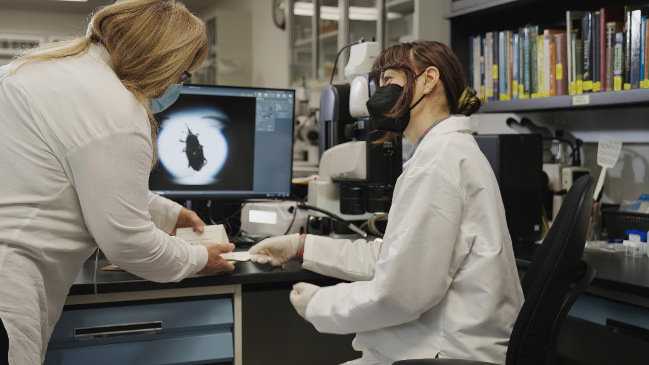Plant Pests Diagnostics Lab