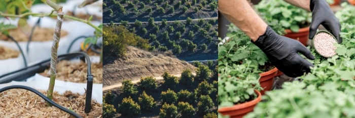 Agricultural Water Quality Operations