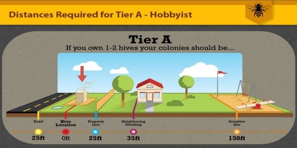 Colony Placement Infographic for Hobbyist Beekeepers Colony Placement Infographic for Hobbyist Beekeepers . Distances Required for Tier A - Hobbyist. From hive location: 20 feet from the road, 25 feet from property line, 35 feet from neighboring dwelling, and 150 feet from sensitive site.