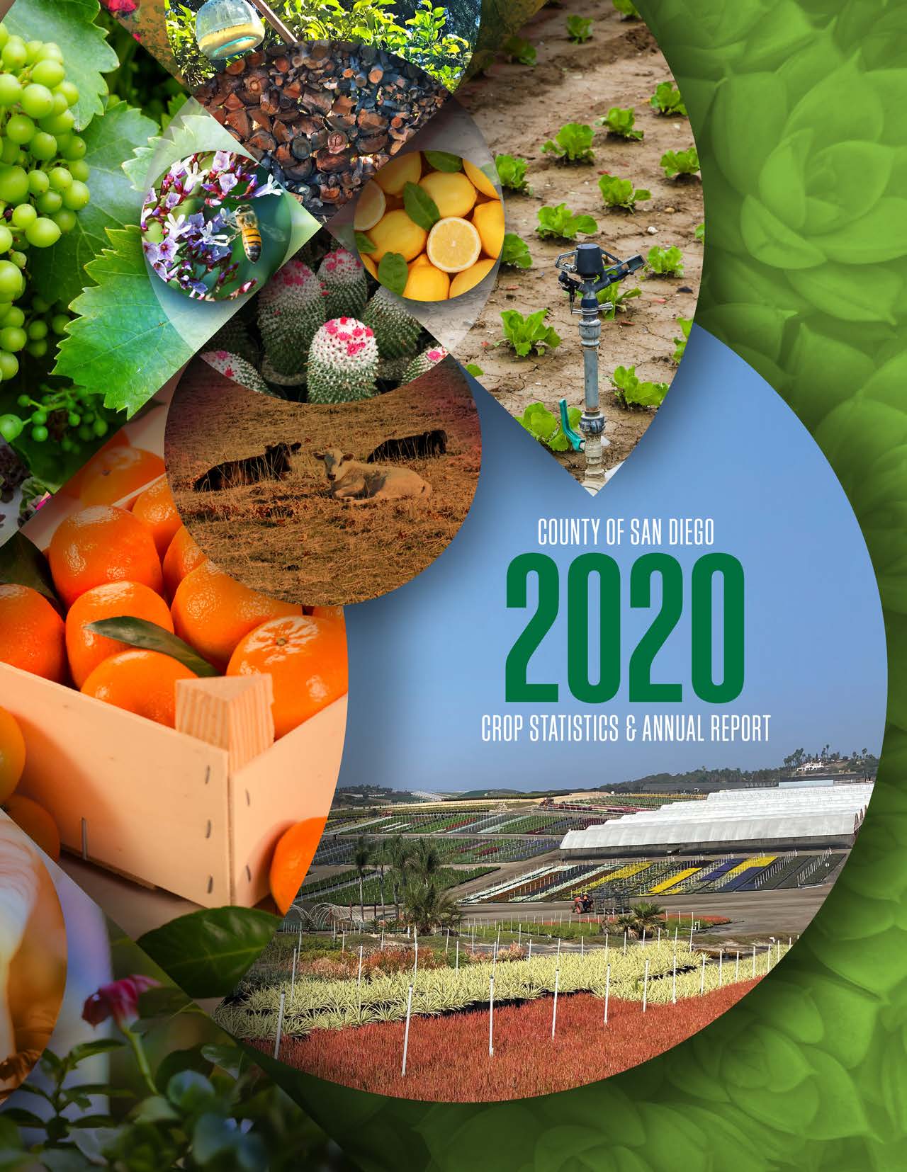 2020 San Diego County Crop Report Cover
