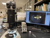 pest laboratory equipment