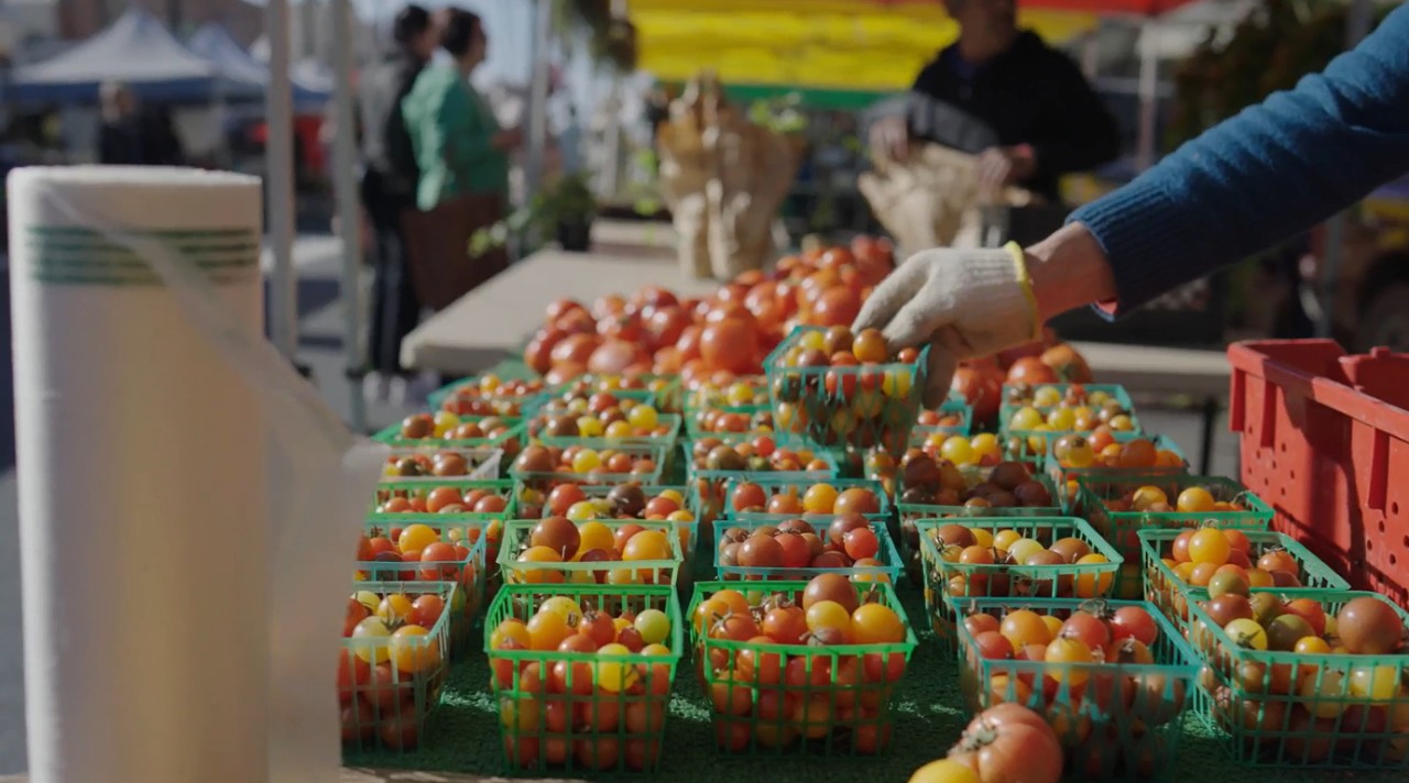 Certified producer selling tomatoes at a farmers' market