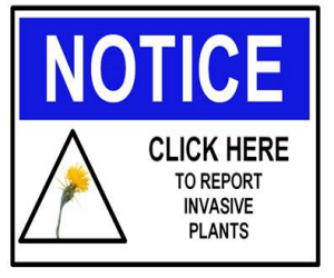 Report an Invasive Plant Updated.docx Notice. Click here to report invasive plants.