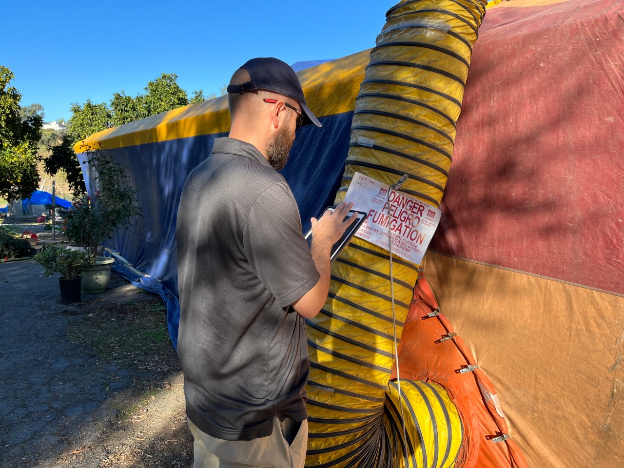 Pest Control Operations