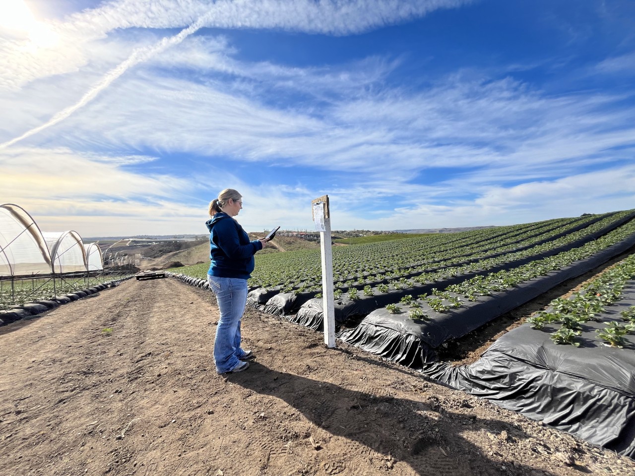 Agricultural Operations