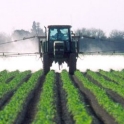 crop-spraying-tractor