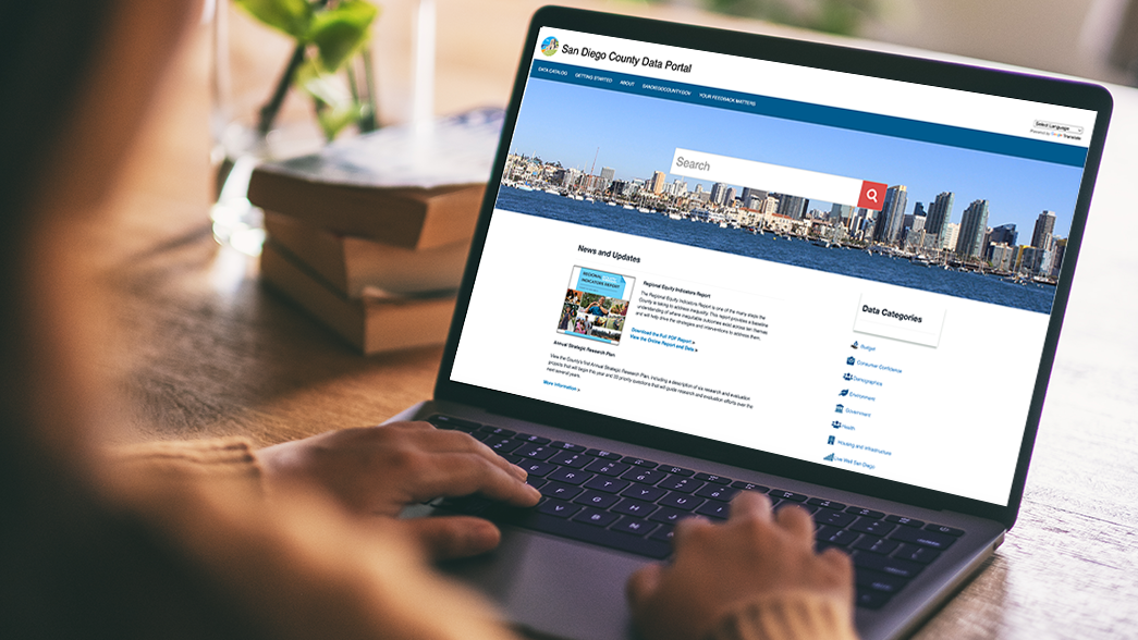 A person looking at a computer screen