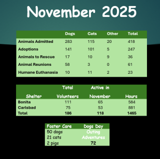 November 2025 Stats