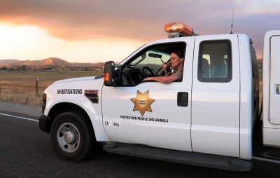 Prepare for disaster