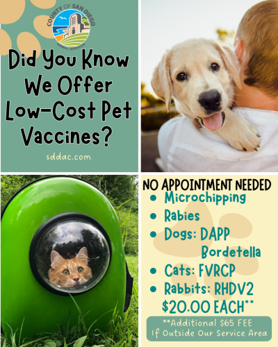 Low Cost Pet Vaccines