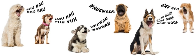 How to report a barking dog