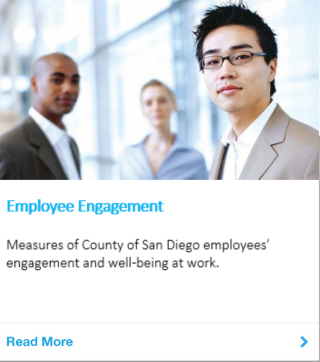 County of San Diego Employee Engagement Indicator
