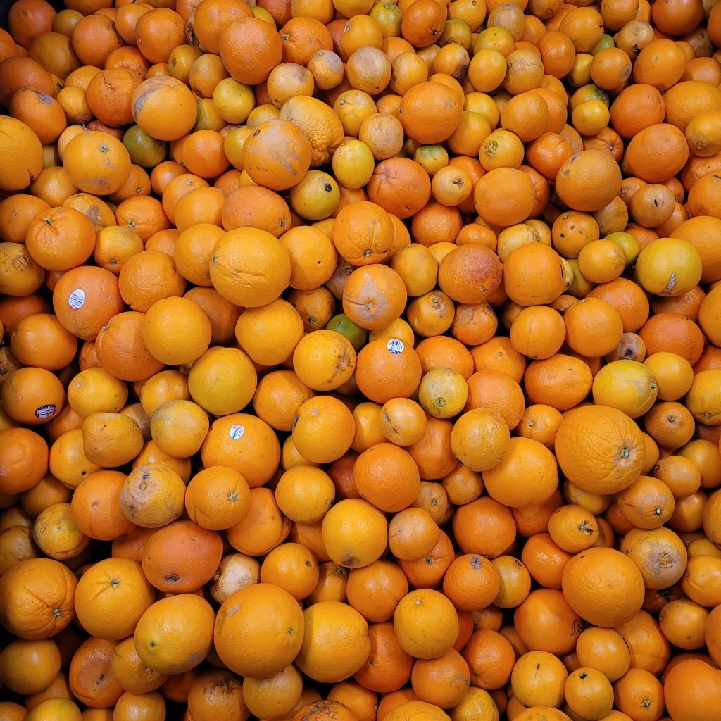 wholesale food vendors and distributors