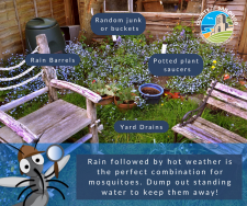 yard sources