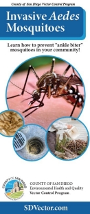 invasive aedes brochure