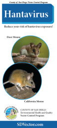 hantavirus brochure
