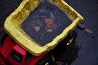 toy truck full of rain water