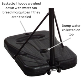 The base of a basketball hoop. Basketball hoops weighed down with water can breed mosquitoes if they aren't sealed, also, dump any water on top