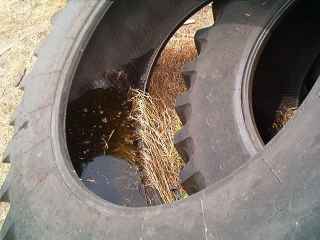 tire full of standing water
