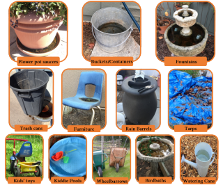 Common backyard sources:Flower pot saucers Buckets and containers Fountains Open trash cans Outdoor furniture Rain Barrels Tarps Kid's Toys Kiddie Pools Wheelbarrows Birdbaths Watering Cans