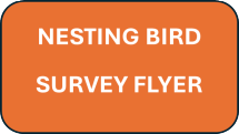 Nesting Bird Survey Flyer Nesting Bird Survey Flyer