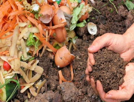 A pile of food scraps like potato peels, carrot peels, and egg shells next to processed compost and 2 hands holding finished compost.