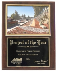 Mapleview Street Biofiltration and Channel Restoration Project