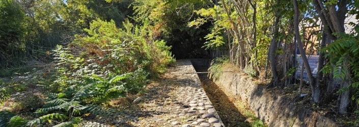 Woodside_Wide