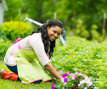 Gardening Using IPM BMPs