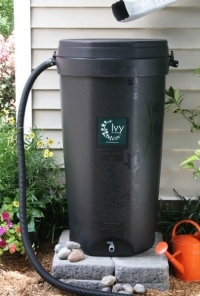 Rain Barrel