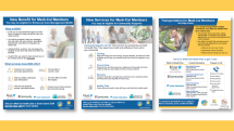 Flyers Flyers, Success Stories, Videos & Links