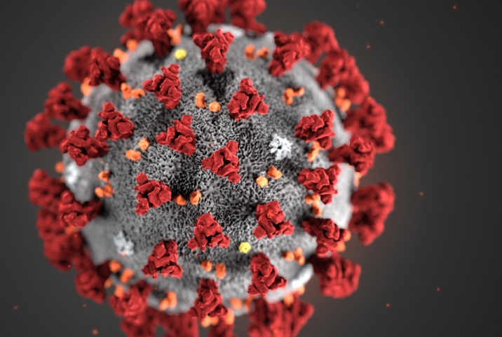coronavirus viral particle