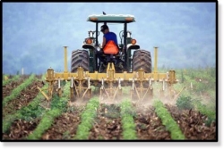 Farmer working in field