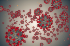 A close up image of the corona virus.