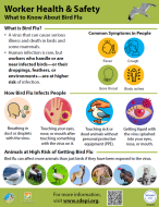 Icons other infographics depicting various ways to protect animal safety workers from bird flu.