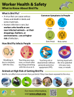 Avian Flu Worker Safey Flyer Icons other infographics depicting various ways to protect animal safety workers from bird flu.