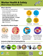 Icons other infographics depicting various ways to protect animal safety workers from bird flu.