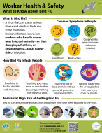 Icons other infographics depicting various ways to protect animal safety workers from bird flu.