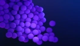 A microscopic image of MRSA.