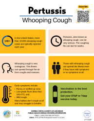 Pertussis flyer Pertussis flyer